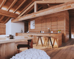 Jolimont 1 - Chalet Residence Villars sur Ollon